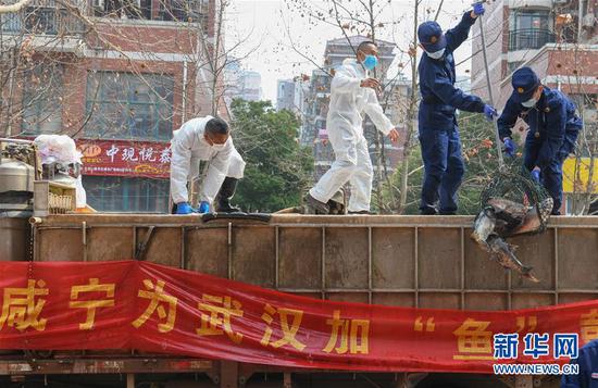 3月13日，一批運到湖北省武漢市硚口區華生漢口城市廣場社區的活魚在卸貨。當日，首批100噸調配自咸寧市的活魚運抵武漢市硚口區11個街道下轄社區。 新華社記者 程敏 攝